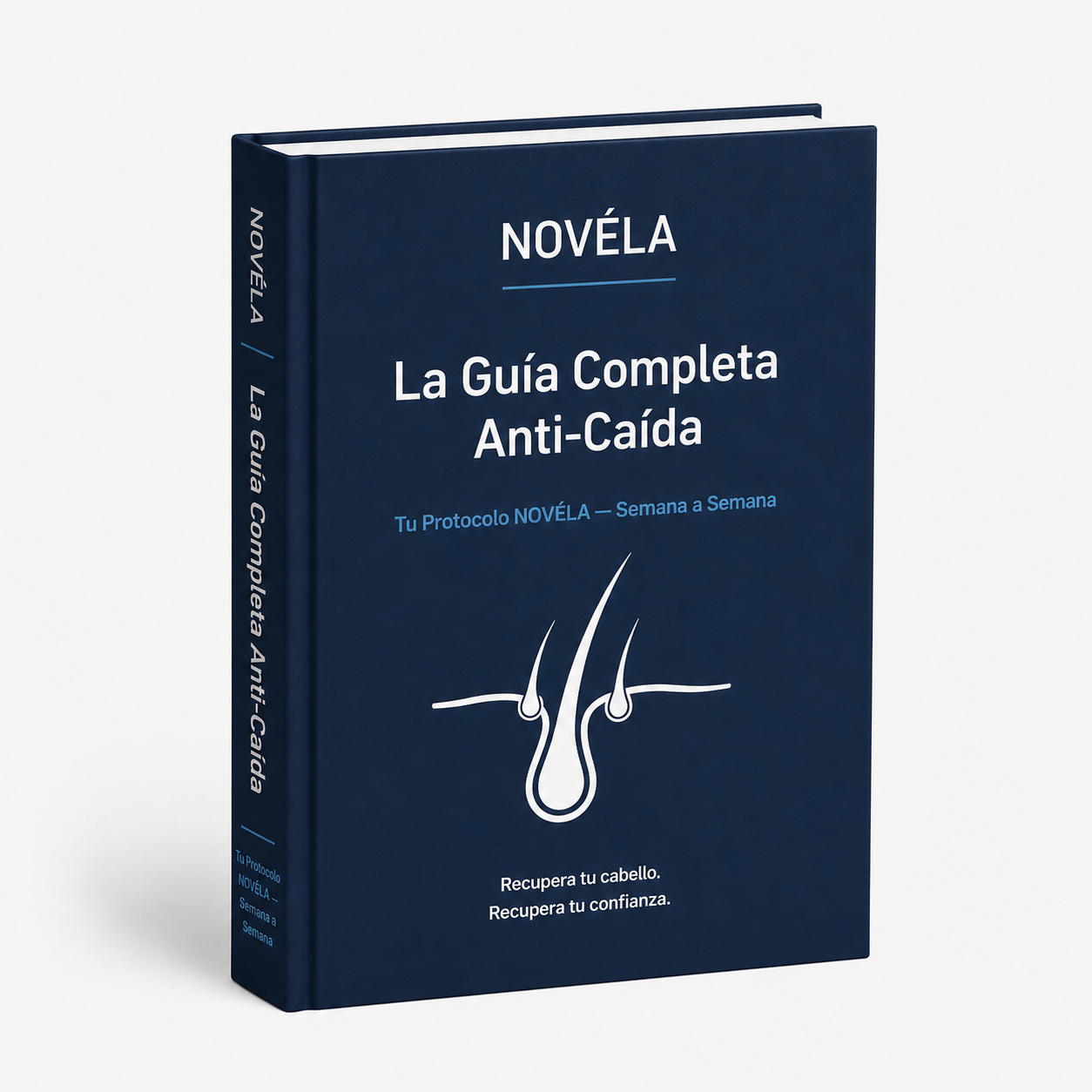 La Guía Anti-Caída